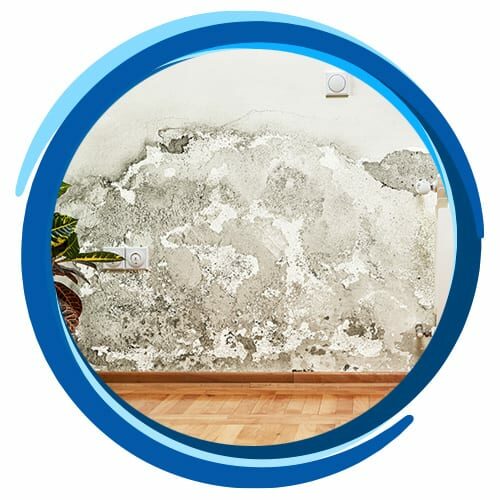 mold on walls in home